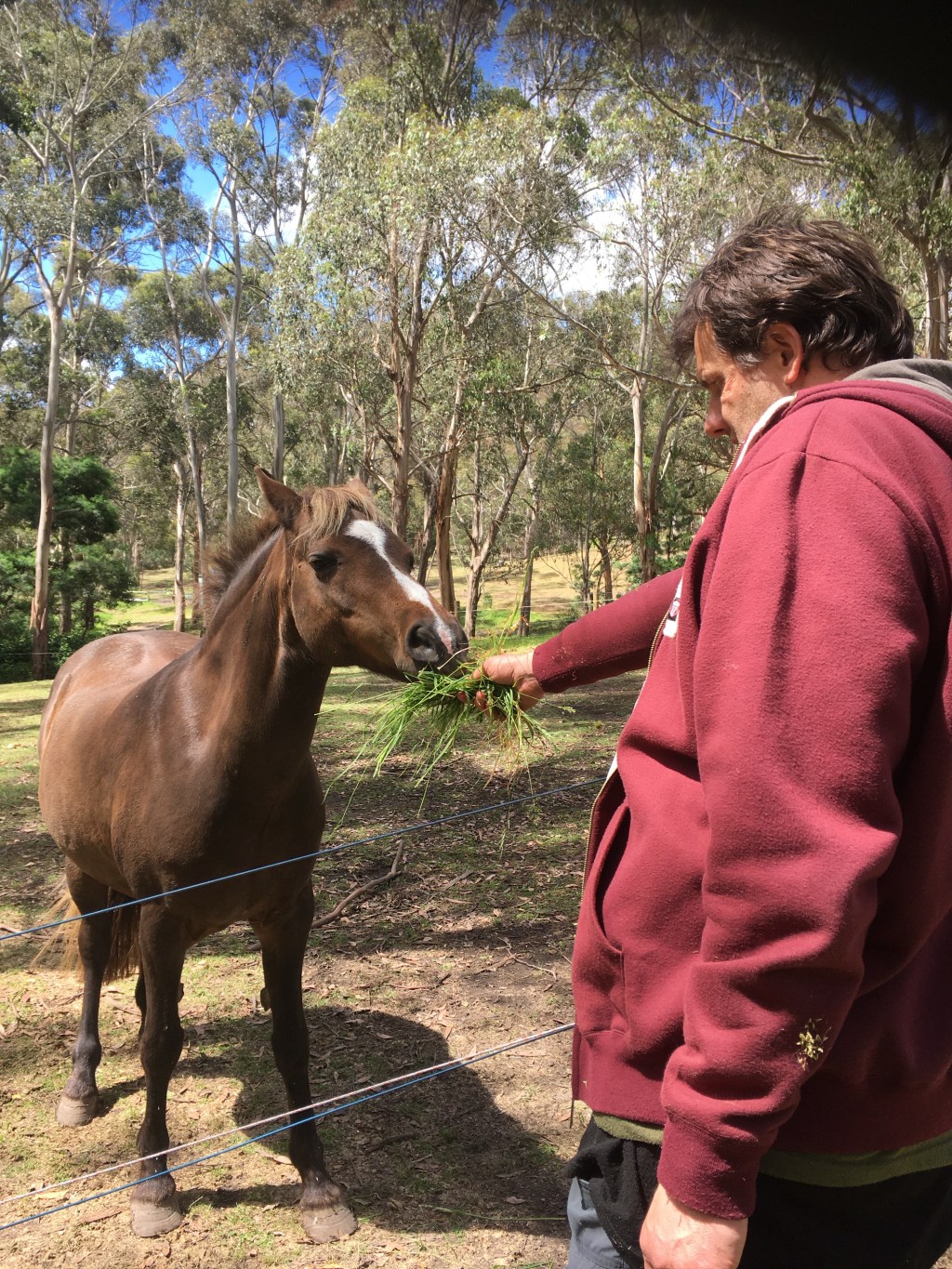 Hospitality That Doesn’t Ask for a Story