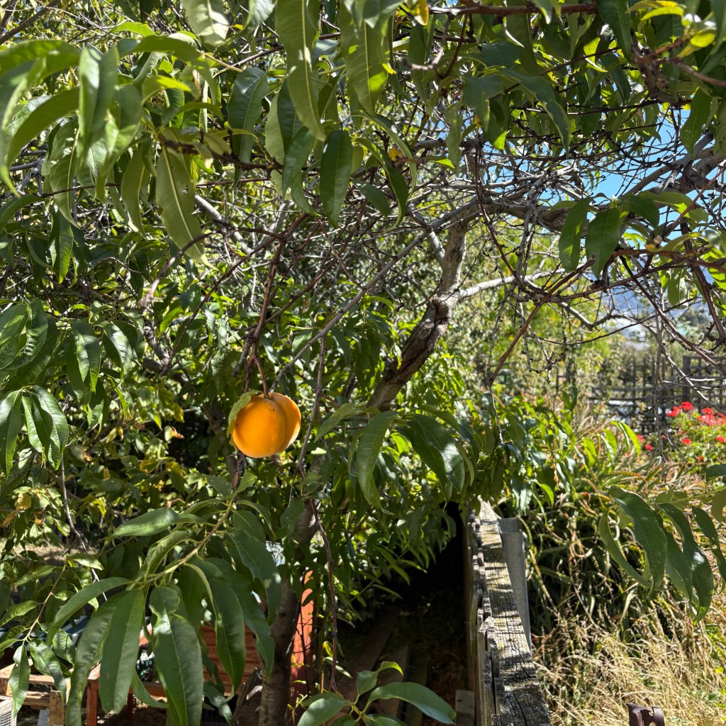 Reflections: A Starting&nbsp;Point