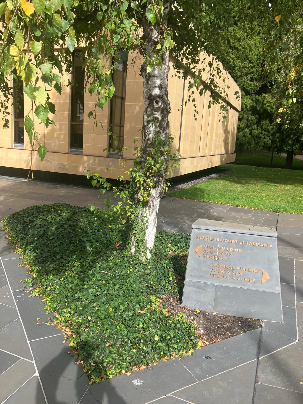 Ned’s Journey: From Homelessness to Relational Impact