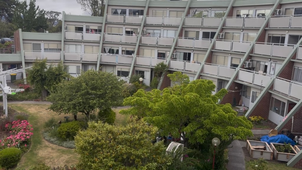 Hope That Learns to Wait