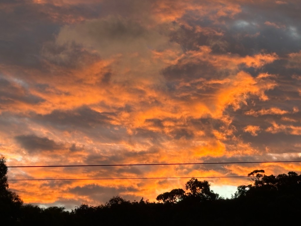 The Difference Between Being Heard and Being Helped – A reflection on dignity, agency, and unintended&nbsp;harm