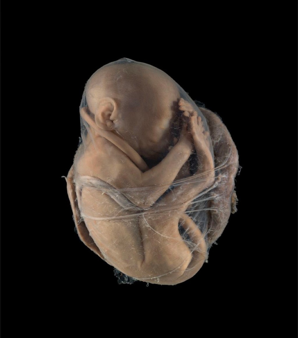 Small Gestures, Big Meaning