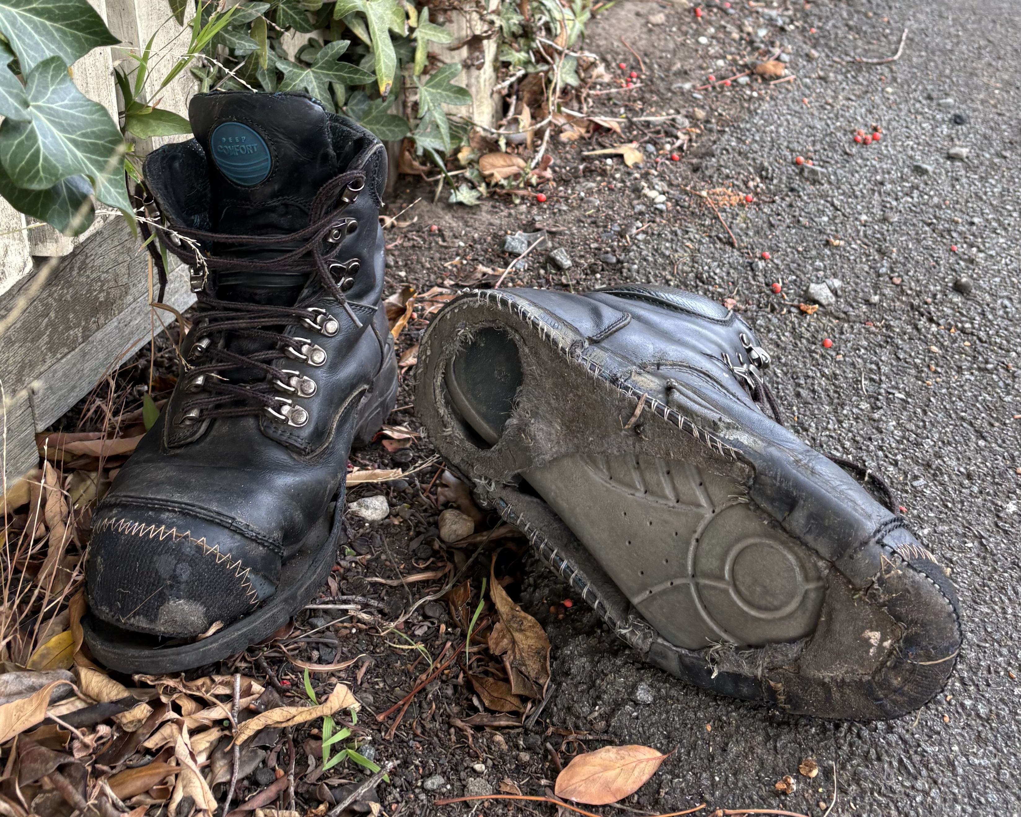 Newsletter No.8 Sunday, 29th March 2026: Notes From The Field – The newsletter where intentions meets reality.