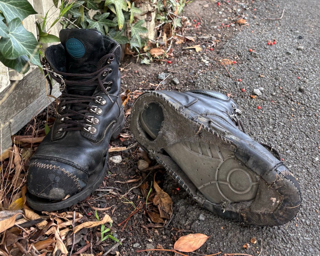 Notes From The Field: Sunday, 29th March 2026. The newsletter where intentions meets reality.